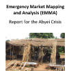 Emergency Market Mapping and Analysis (EMMA)