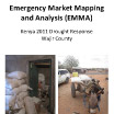 Emergency Market Mapping and Analysis
