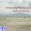 Enhancing Resilience in the Horn of Africa