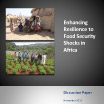 Enhancing resilience to food security shocks in Africa: Discussion paper
