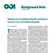 Options for including disaster resilience in post-2015 development goals