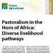 Pastoralism in the Horn of Africa: Diverse livelihood pathways
