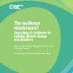 The resilience renaissance? Unpacking of resilience for tackling climate change and disasters